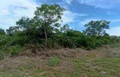 Fazenda à venda, 80000000 m² por r$ 50.000.000,00 - zona rural - peixoto de azevedo/mt
