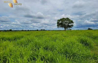 Fazenda à venda, 61350000 m² por r$ 98.160.000,00 - zona rural - rondonópolis/mt