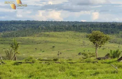 Fazenda à venda, 29983800 m² por r$ 70.000.000,00 - zona rural - aripuanã/mt