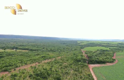 Fazenda, 28940000 m² - venda por r$ 50.000.000,00 ou aluguel por r$ 10.000,00/mês - zona rural - rosário oeste/mt