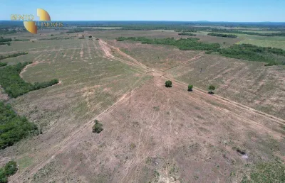 Fazenda à venda, 16300000 m² por r$ 81.500.000,00 - zona rural - poconé/mt