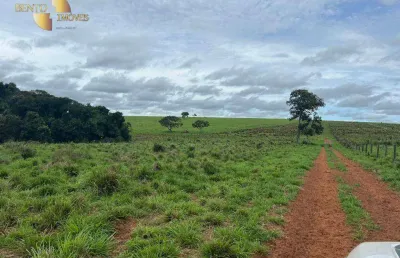 Fazenda à venda, 11600000 m² por r$ 45.000.000,00 - zona rural - primavera do leste/mt