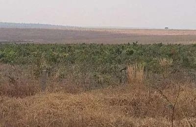 Fazenda, 25000000 m² - venda por r$ 75.000.000,00 ou aluguel por r$ 0,10/mês - zona rural - primavera do leste/mt