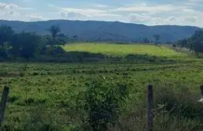 Fazenda à venda, 8400000 m² por r$ 16.000.000,00 - zona rural - rosário oeste/mt