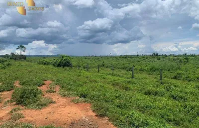 Fazenda para alugar, 30000000 m² por r$ 10.000,00 - zona rural - alta floresta/mt