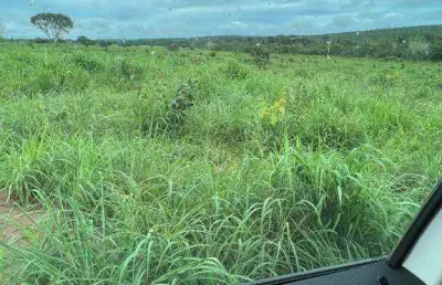 Fazenda à venda, 31500000 m² por r$ 55.000.000,00 - zona rural - paranatinga/mt