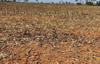 Fazenda à venda, 176000 hectares por r$ 880.000.000 - zona rural - aroazes/pi