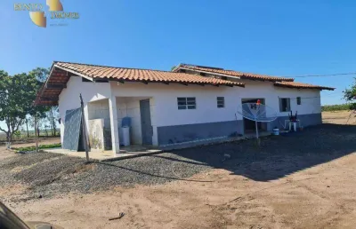 Fazenda à venda, 80000000 m² por r$ 187.500.000,00 - zona rural - baixa grande do ribeiro/pi