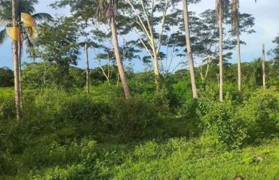 Fazenda à venda, 1000000 m² por r$ 1.100.000,00 - zona rural - cuiabá/mt