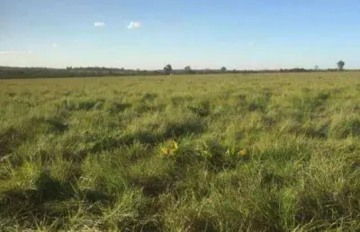 Fazenda à venda, 15890000 m² por r$ 36.000.000,00 - zona rural - paranatinga/mt