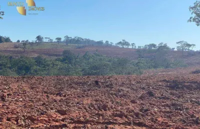 Fazenda à venda, 19360000 m² por r$ 30.000.000,00 - zona rural - primavera do leste/mt