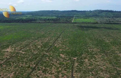 Fazenda que une o melhor da terra e do gado.  venda, 9680 hectares por r$ 160.000.000 - zona rural - divisa com o estado do pará