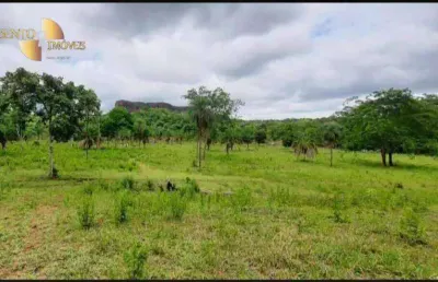 Fazenda com múltiplas possibilidades de uso. fazenda à venda, 300 hectares por r$ 6.000.000 - campo verde/mato grosso