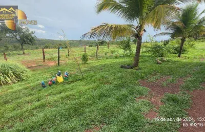 Fazenda com práticas pioneiras em cultivo e criação. fazenda à venda, 102 hectares por r$ 1.000.000 - zona rural - chapada dos guimarães/mt
