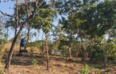 Terreno à venda, 452 m² por r$ 45.000,00 - zona rural - cuiabá/mt