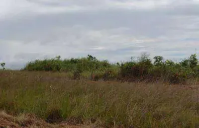 Fazenda à venda, 6000 hectares por r$ 194.700.000 - zona rural - rosário oeste/mt