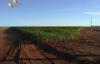 Fazenda com vastas opções de cultivo e criação, à venda, 900 hectares por r$ 35.000.000 - zona rural - primavera do leste/mt