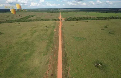 Fazenda focada em melhoramento animal à venda, 9000 hectares por r$ 187.000.000 - zona rural - porto dos gaúchos/mt