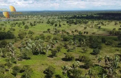 Fazenda à venda, 1300 hectares por r$ 38.000.000 - zona rural - cuiabá/mt
