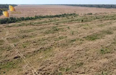 Fazenda com tradição em qualidade, à venda, 980 hectares por r$ 99.000 - zona rural - nova maringá/mt