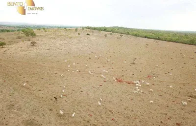 Fazenda à venda, 550 hectares por r$ 18.000.000 - zona rural - novo são joaquim/mt