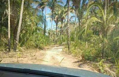 Fazenda à venda, 2000000 m² por r$ 4.000.000,00 - zona rural - santo antônio do leverger/mt