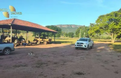Fazenda à venda, 33620000 m² por r$ 51.000.000,00 - distrito vila aparecida - zona rural - cáceres/mt