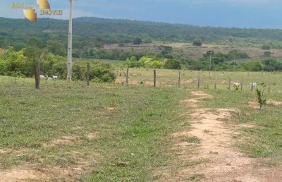 Solo fértil:* terra pronta para plantio de alta produtividade.
