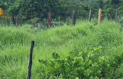 Fazenda à venda, 1000000 m² por r$ 1.500.000 - zona rural - chapada dos guimarães/mt