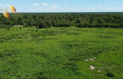 Fazenda à venda na Zona Rural, Santo Antônio do Leverger 