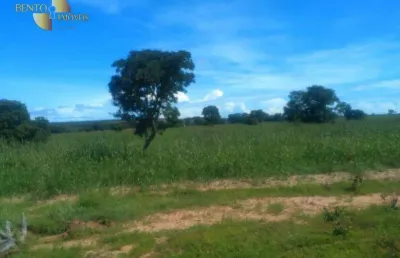 Fazenda à venda na Zona Rural, Paranatinga 