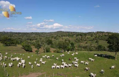 Fazenda à venda na Avenida dos Estudantes, Área Rural de Rondonópolis, Rondonópolis
