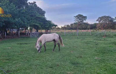 Fazenda à venda na Zona Rural, Novo São Joaquim 