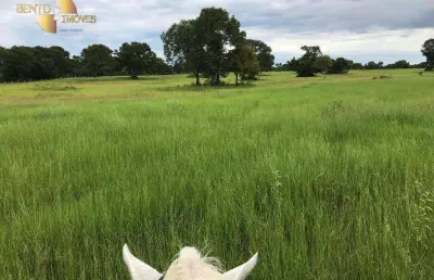 Fazenda com 1 dormitório à venda, 70000000 m² por r$ 50.000.000,00 - zona rural  - várzea grande/mt