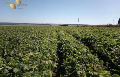 Fazenda à venda, 21600000 m² por r$ 86.000.000 - zona rural - campos de júlio/mt