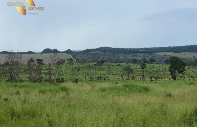 Fazenda para alugar, 500 m² por r$ 20.000/mês - zona rural - planalto da serra/mt