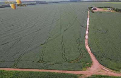Fazenda à venda na Zona Rural, Novo São Joaquim 