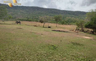 Sítio à venda, 82 hectares por r$ 1.200.000 - zona rural - cáceres/mt