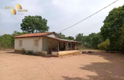Sítio à venda, 32,96 hectares por r$ 390.000 - zona rural - rosário oeste/mt