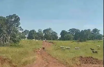 Fazenda à venda, 5565000 m² por r$ 18.500.000 - zona rural - rondonópolis/mt