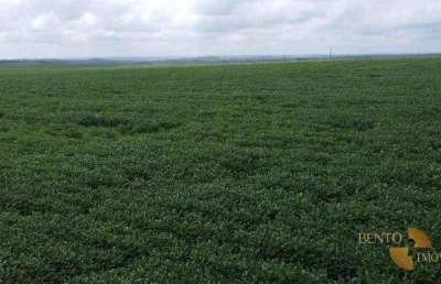 Fazenda à venda na Rua Zacarias Barros, Área Rural de Araguaína, Araguaína