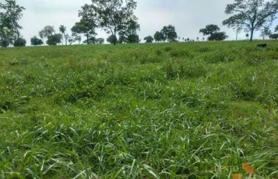 Fazenda à venda na Rua Feliciano Galdino, Área Rural de Várzea Grande, Várzea Grande