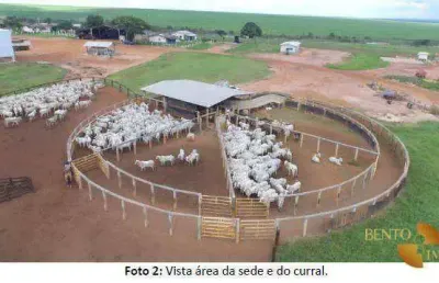 Fazenda à venda na Zona Rural, Campo Verde 