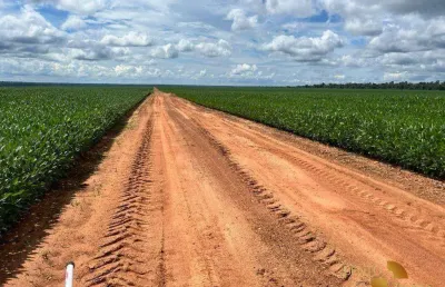 Fazenda à venda na Avenida das Embaúbas, Zona Rural, Sinop