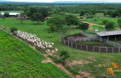 Fazenda para alugar na Zona Rural, Rosário Oeste 