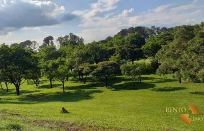 Sítio com 2 dormitórios à venda, 145000 m² por r$ 400.000,00 - centro - barão de melgaço/mt