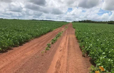 Fazenda à venda, 10300000 m² por r$ 35.000.000 - zona rural - paranatinga/mt