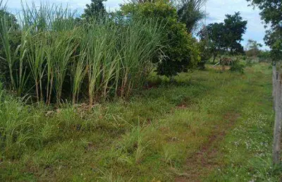 Sítio à venda, 420000 m² por r$ 700.000 - zona rural - rosário oeste/mt