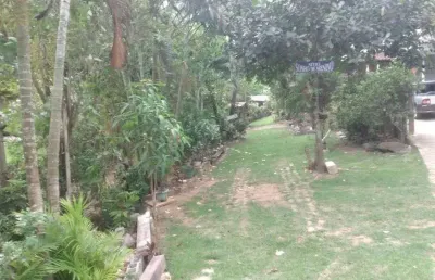 Mini-sítio em campo grande totalmente plano, com diversas árvores frutíferas.