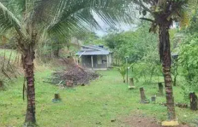 Mini sitio em campo grande com 3.000 m² , possui casa de com 2 quartos